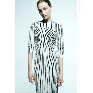 Zara Printed Dress ZW Collection, NWT, L